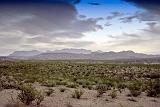 Big Bend 04